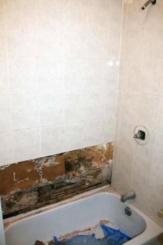 Upstairs/Downstairs Bathroom Repair